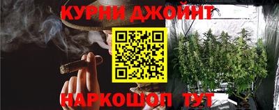 тгк Кингисепп
