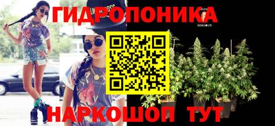 тгк Кингисепп