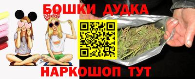 тгк Кингисепп