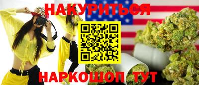 тгк Кингисепп