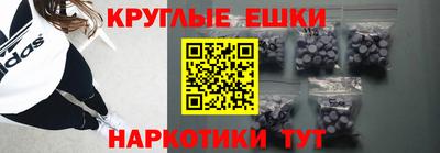 тгк Кингисепп