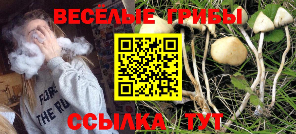 купить закладку  Вход с VPN  Красноуфимск  Псилоцибиновые грибы мицелий 